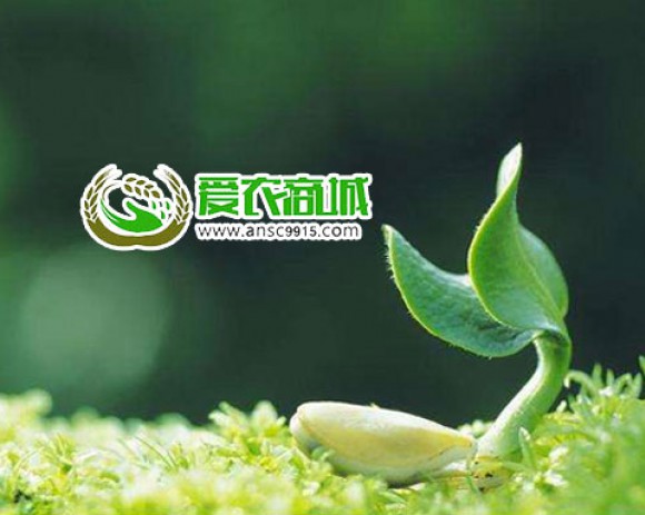 愛農商城